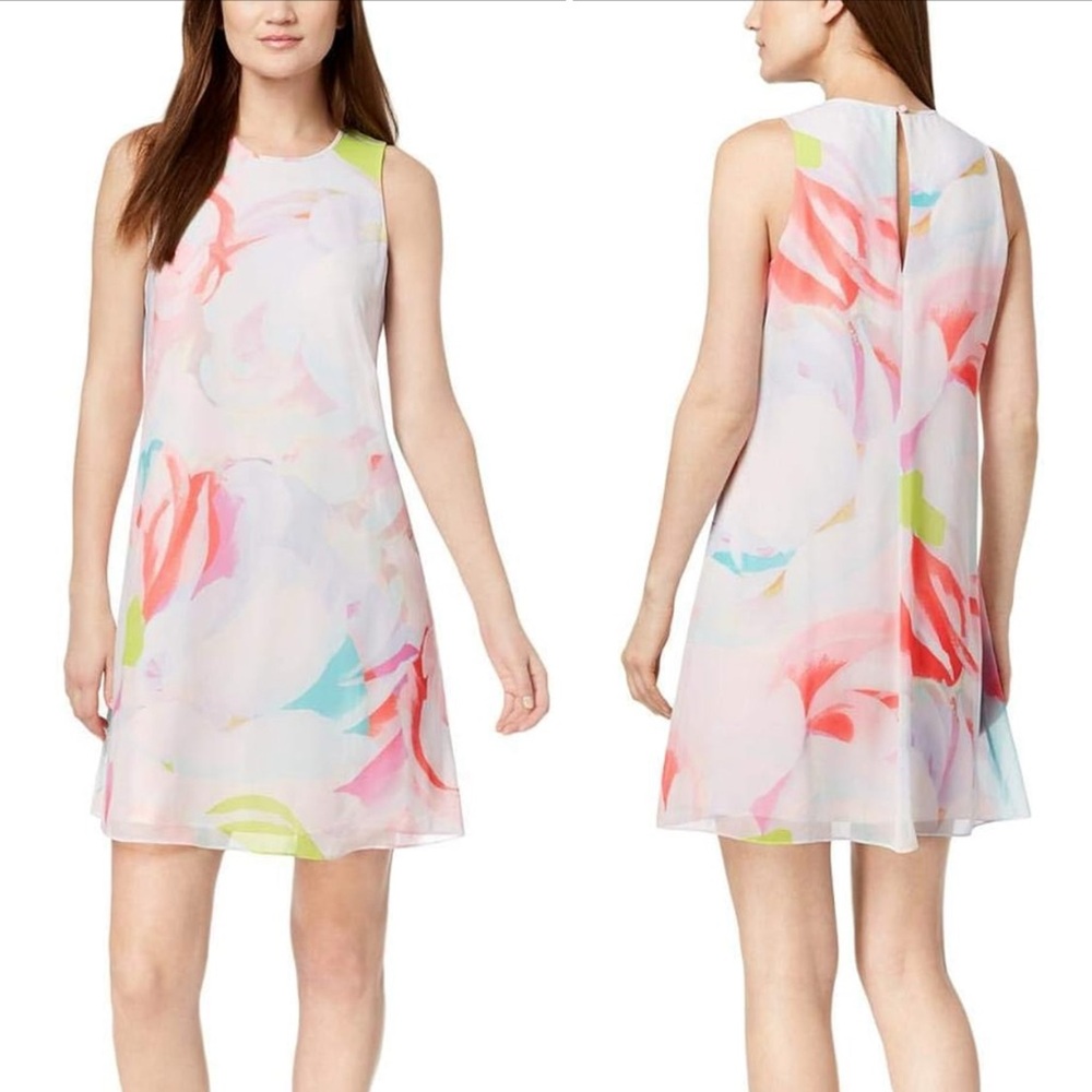 Calvin Klein Floral Sleeveless Watercolor Sheer Dress, Size 8P